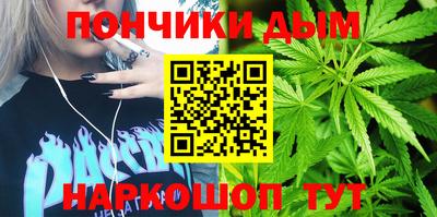 каннабис Новодвинск