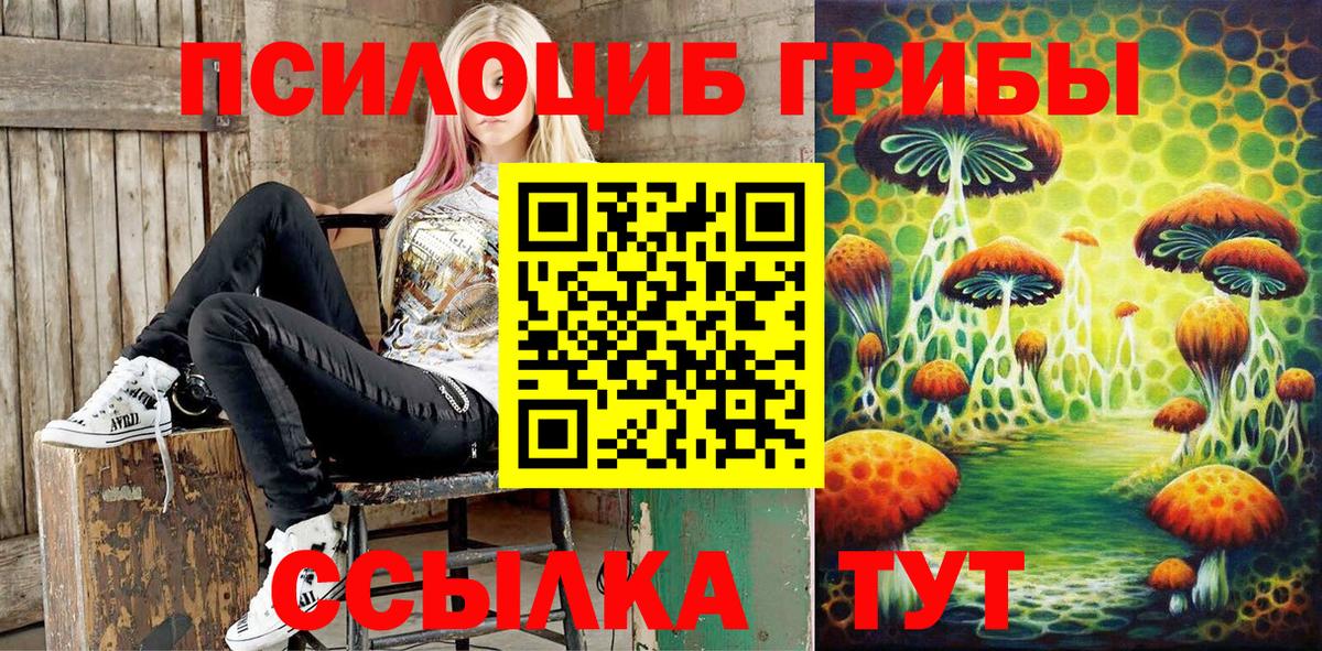 Галлюциногенные грибы GOLDEN TEACHER Протвино